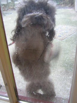 Please Let Me In